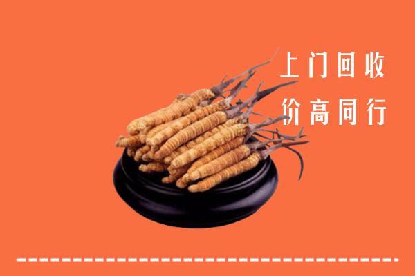 博尔塔拉回收冬虫夏草